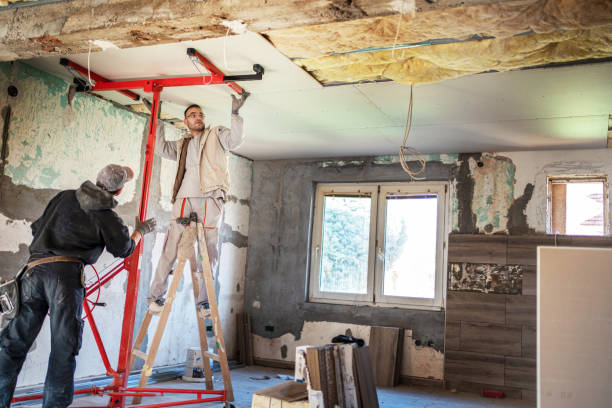  La Plata, MO Insulation Contractor Pros
