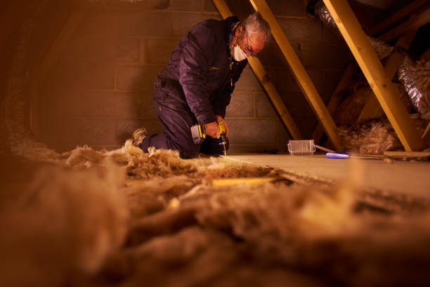 Best Insulation Maintenance and Repair in La Plata, MO
